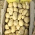 荷兰十五土豆3两以上精品,货鲜走货快,快来下单哦