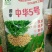白沙系列花生种子