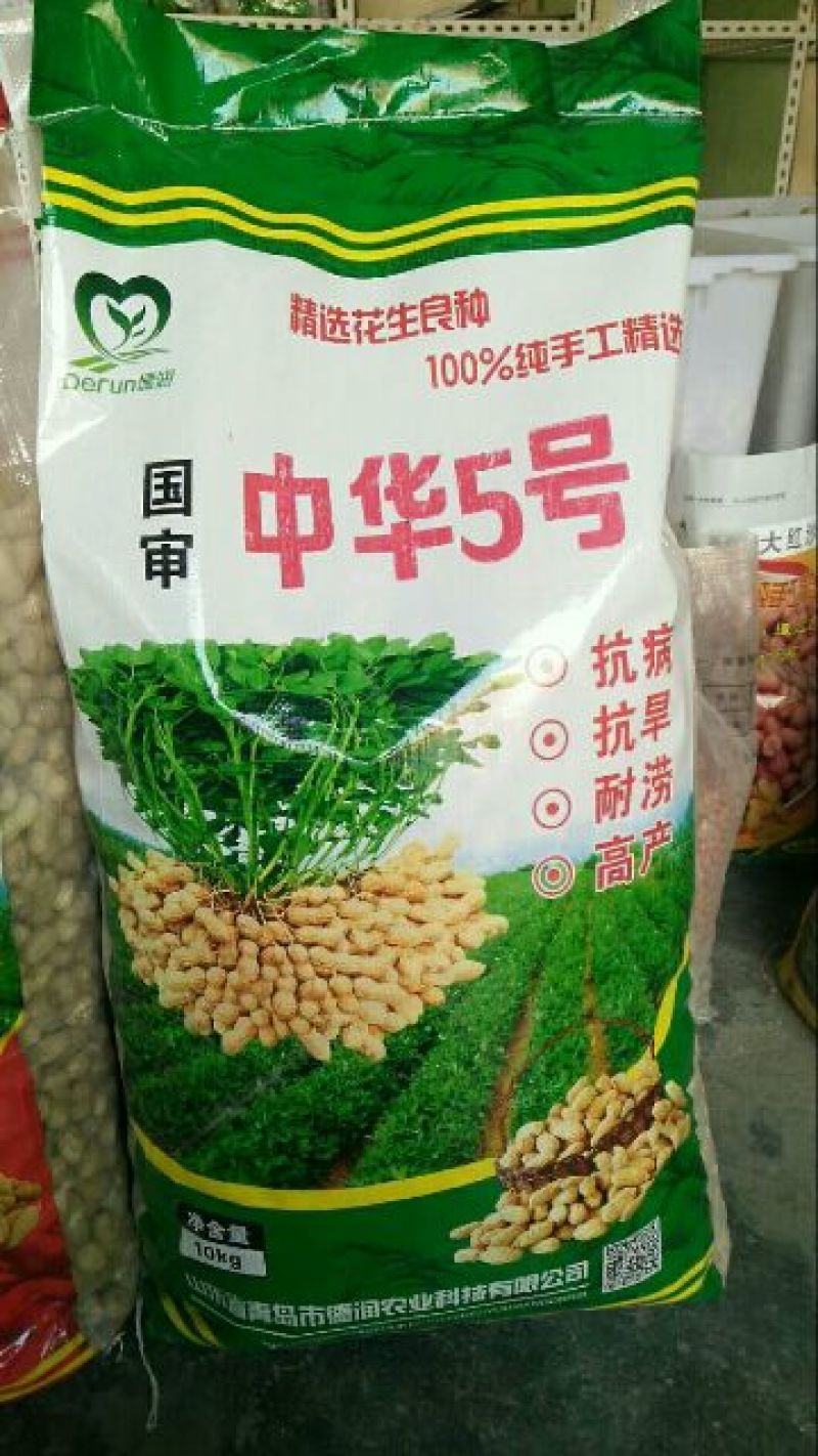 白沙系列花生种子