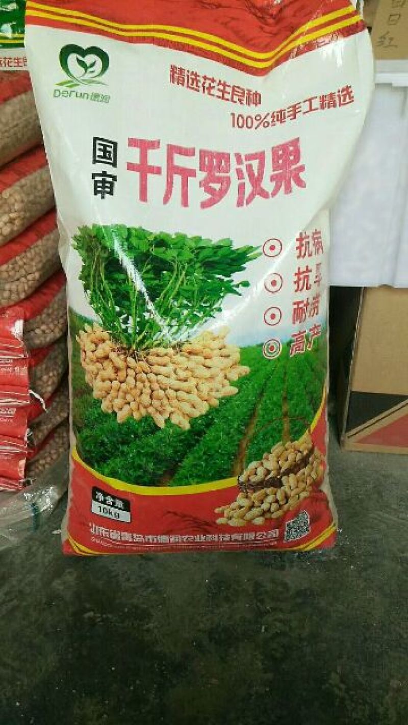 白沙系列花生种子