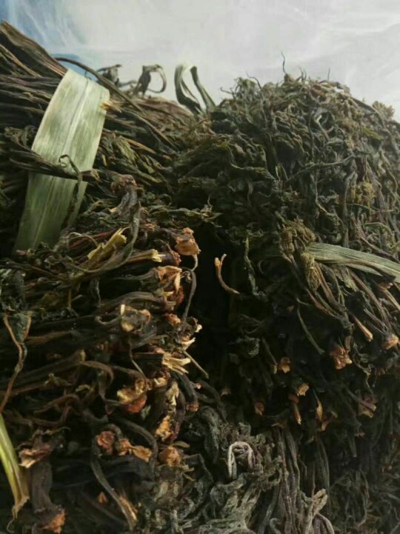 【咨询有惊喜】精品干香椿精品香椿品质保证，量大从优