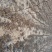 冬枣树苗1.5~2cm110~cm