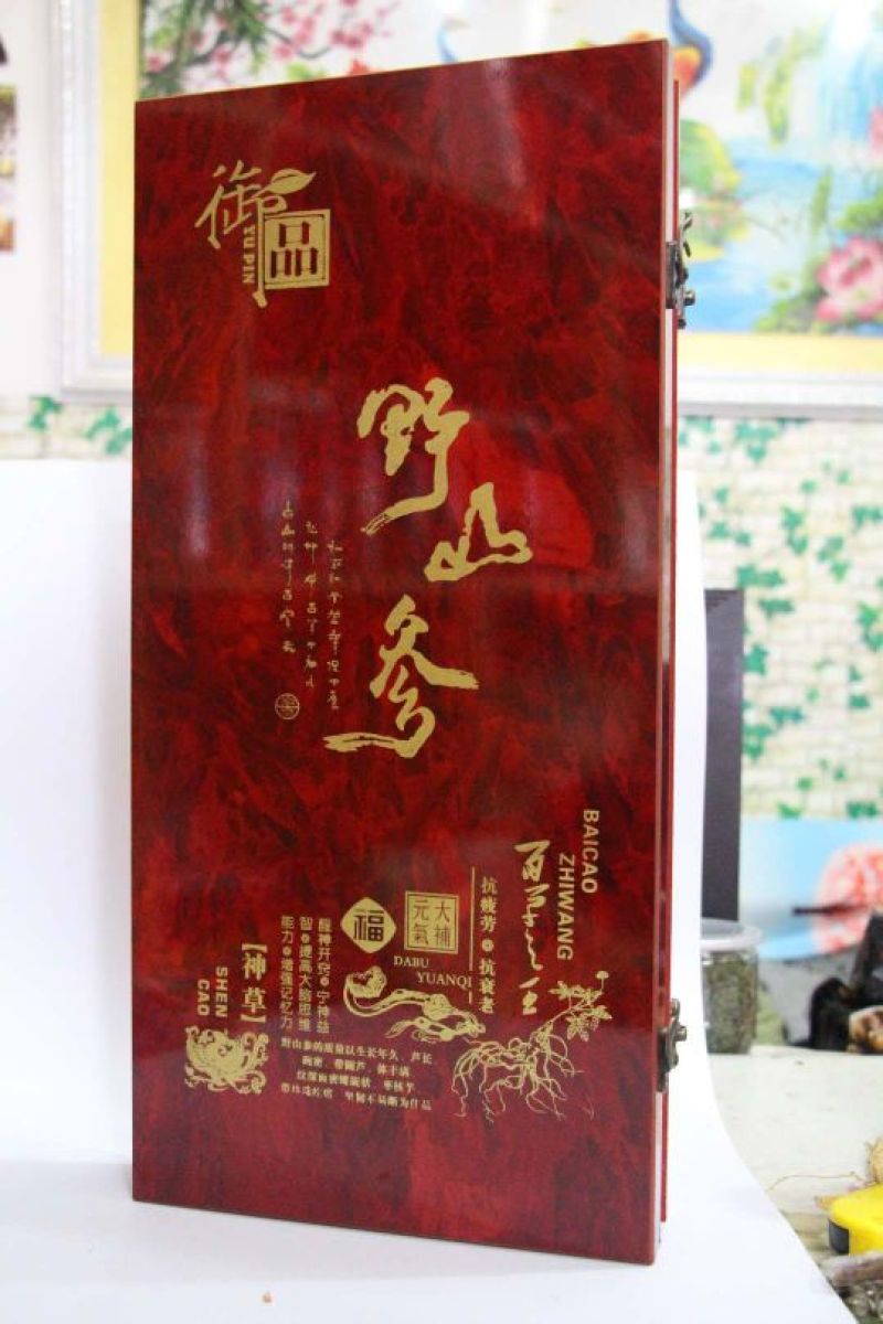 林下参干
