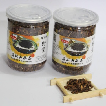 蒲公英茶一级