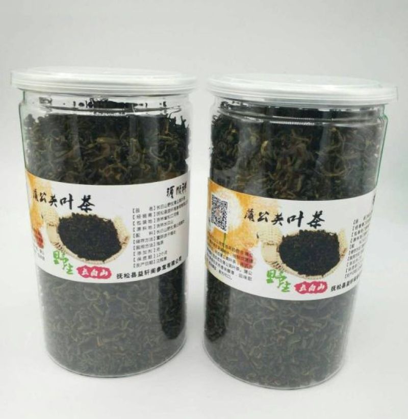 蒲公英茶一级