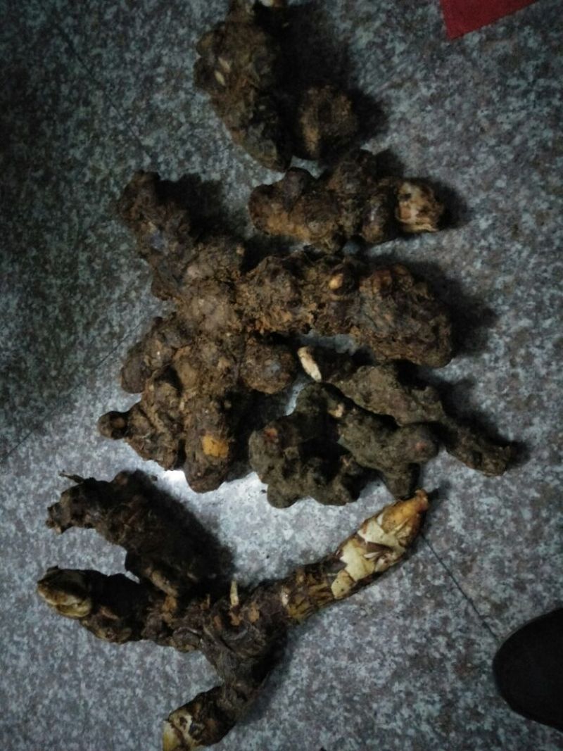 土茯苓统个