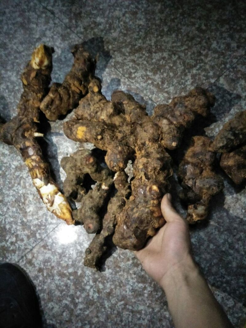 土茯苓统个