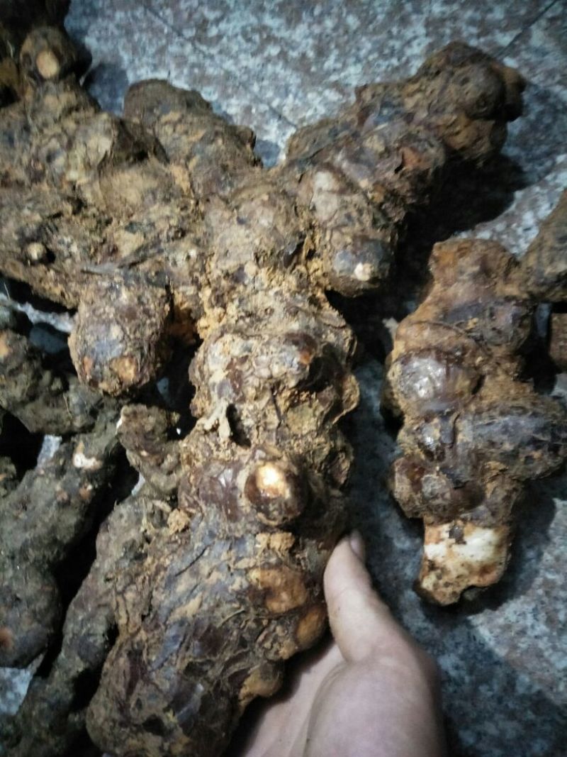 土茯苓统个