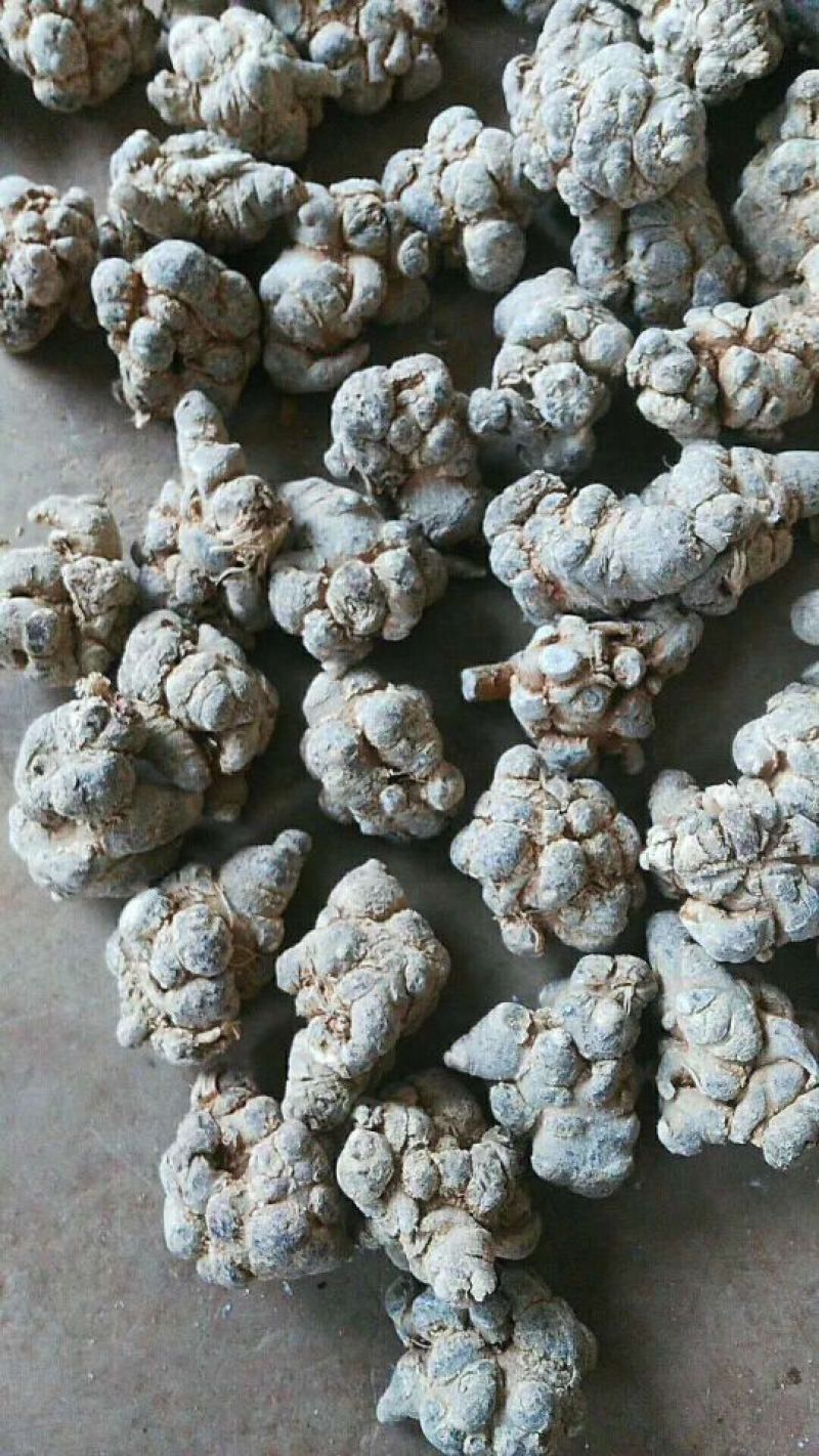 三七粉