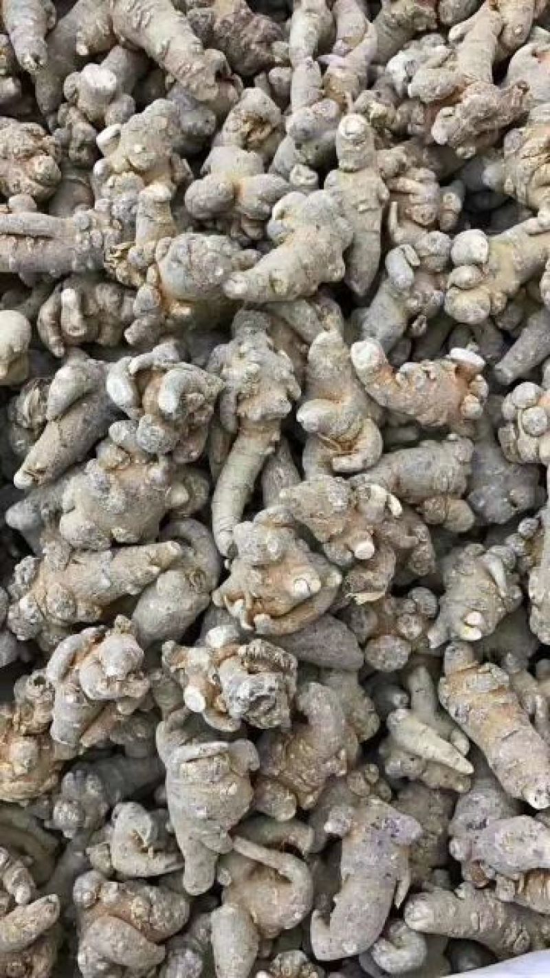 三七粉