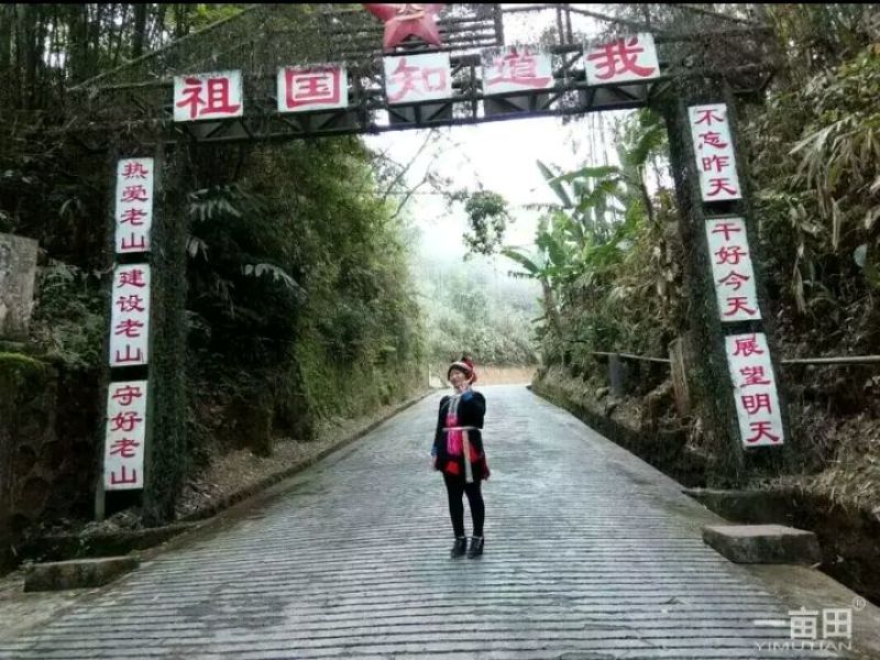 菜板越南铁木砚木加厚定做