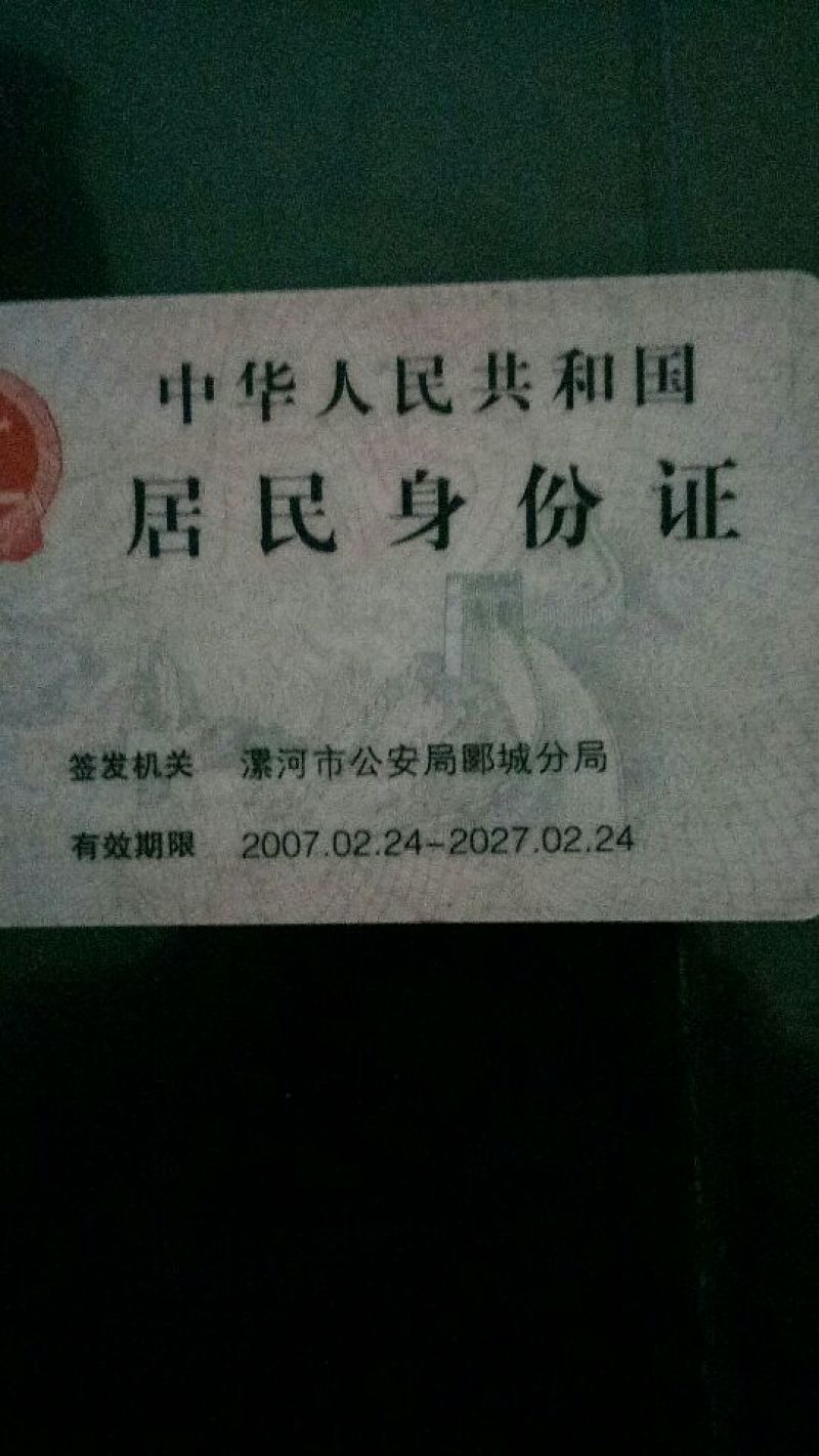 荷叶选货30cm以上
