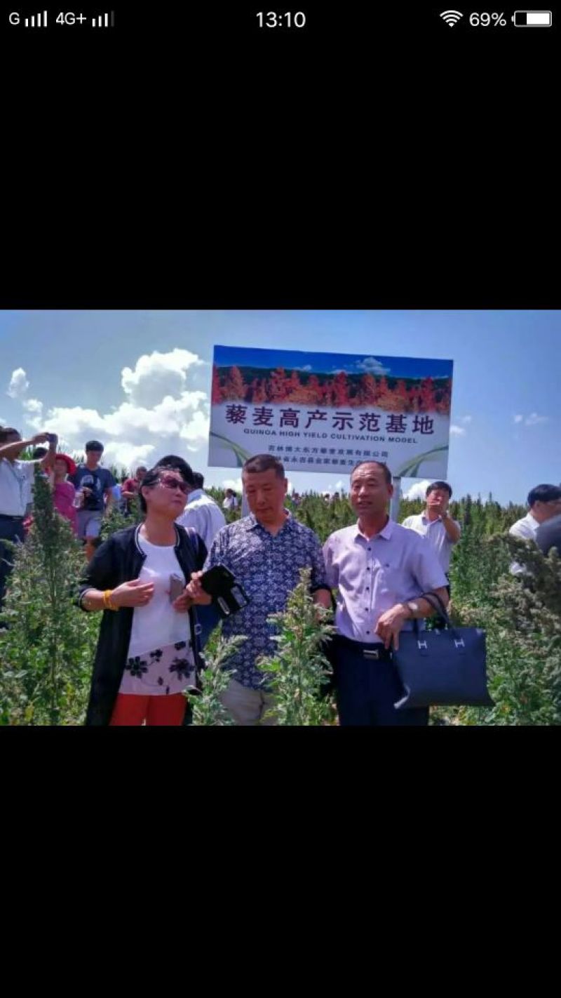 藜麦一级