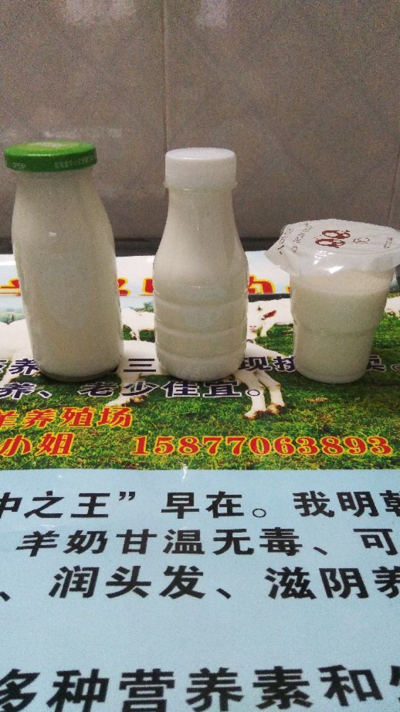 种羊30~50斤