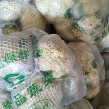 鲜辣椒15~20厘米青中辣