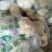 鲜辣椒15~20厘米青中辣