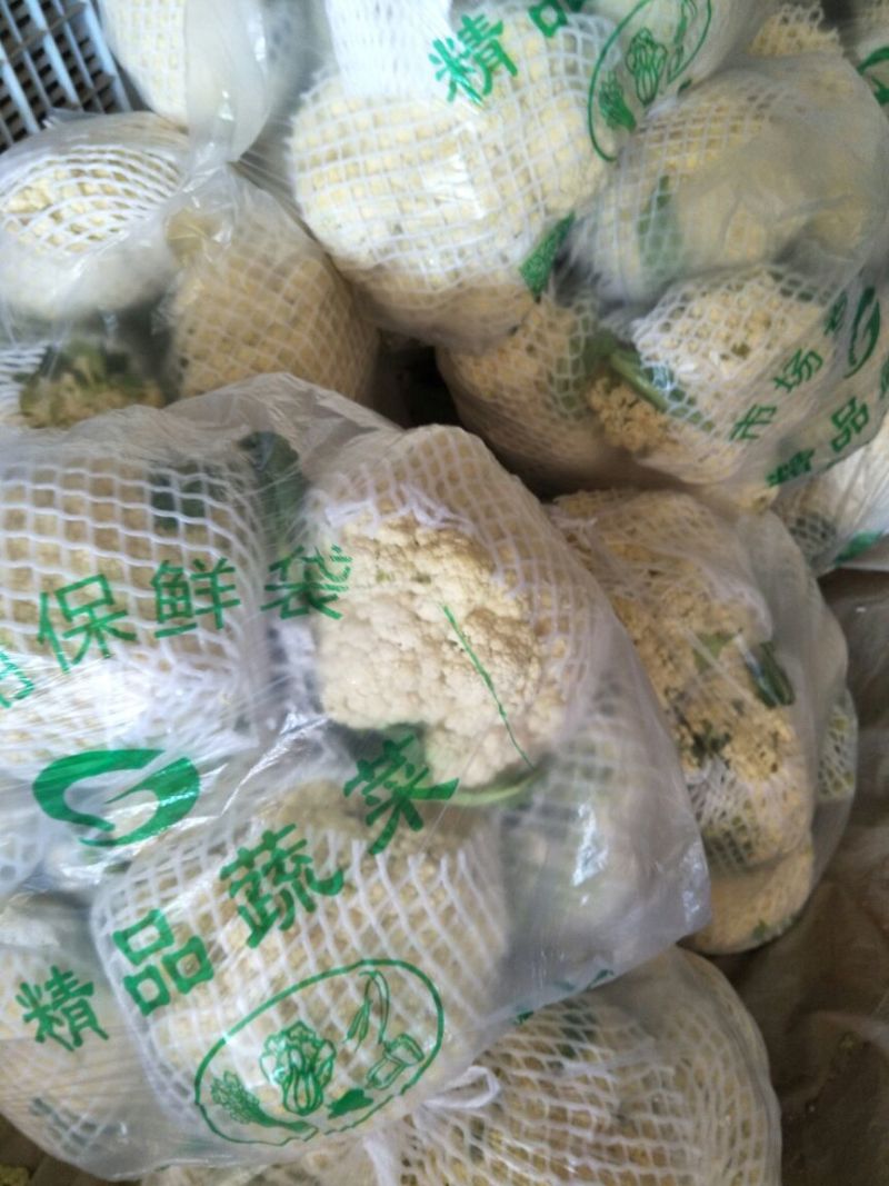 鲜辣椒15~20厘米青中辣