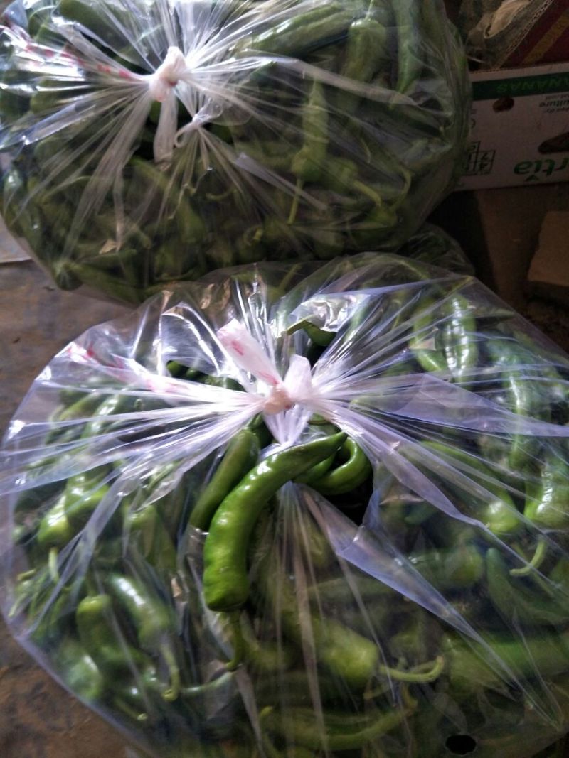 鲜辣椒15~20厘米青中辣