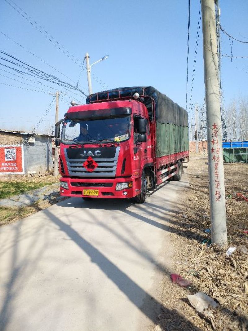 河南新乡延津青壳红心鲜鸭蛋食用