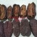 皱皮木瓜树苗无籽木瓜树苗