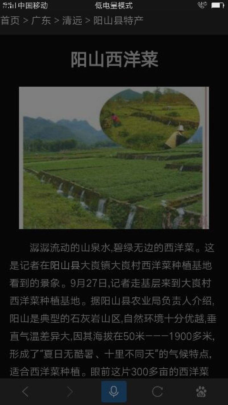 豆瓣菜绿色食品