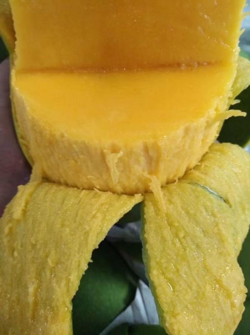 大青芒越南芒果二级大青芒单果1斤以上