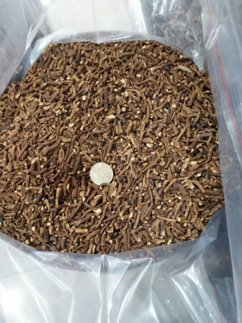 蒲公英茶一级