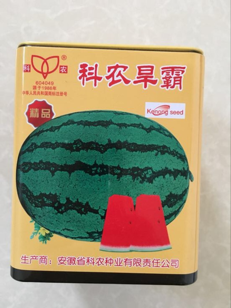 耐旱大果型西瓜种子～科龙旱霸