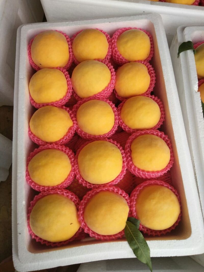 油桃3两以上
