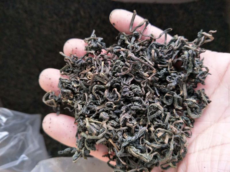 蒲公英茶一级
