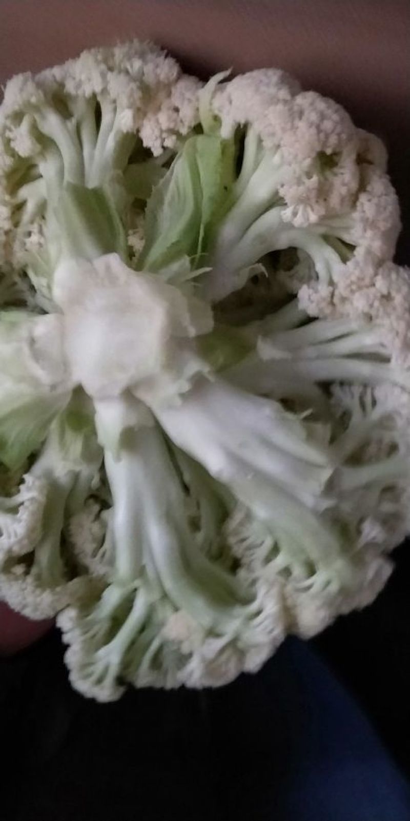松花菜2~3斤散花乳白