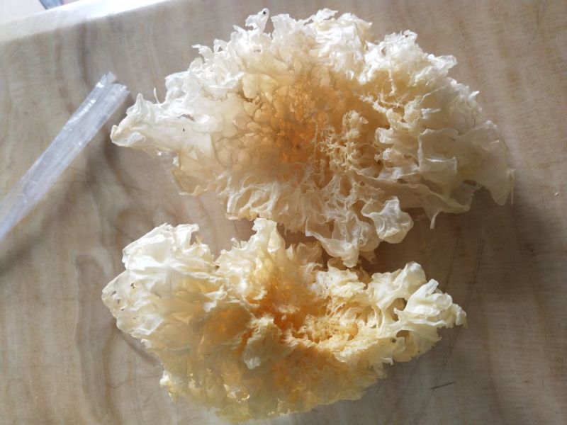 古田雪花银耳一级量大运费商议请按购买数量拍否则不发货