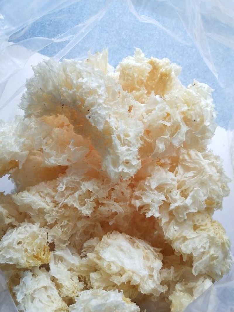 古田雪花银耳一级量大运费商议请按购买数量拍否则不发货