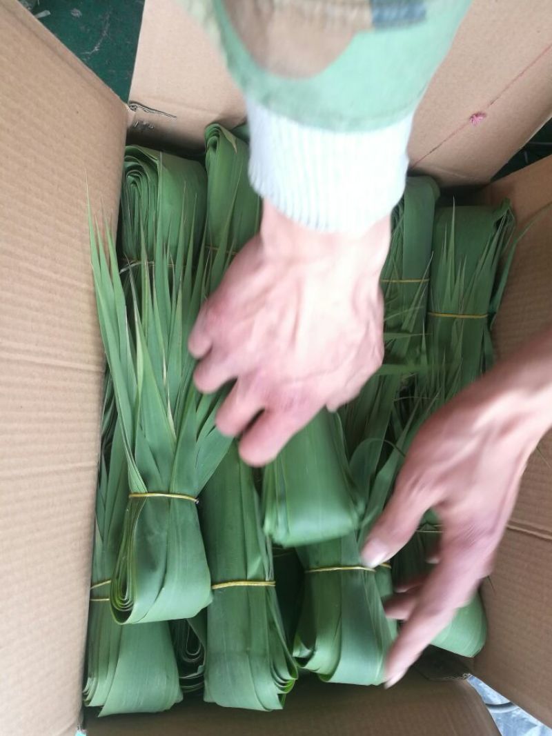 苇叶40~50cm