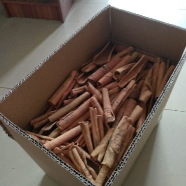 广西烟仔桂一级产品干度好卖相好产地批发包邮