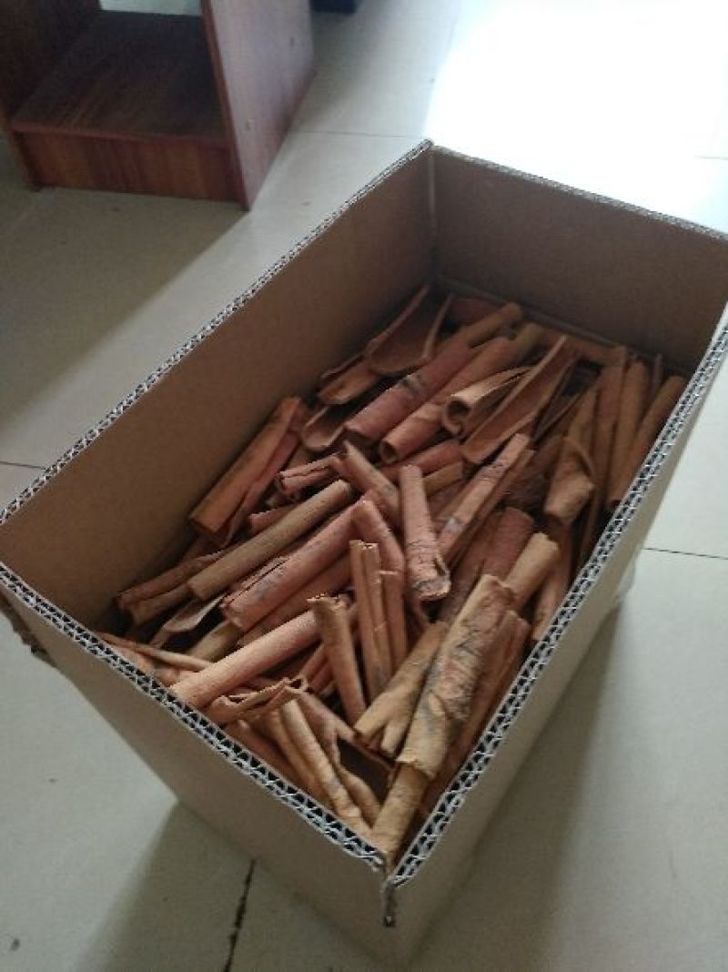 广西烟仔桂一级产品干度好卖相好产地批发包邮