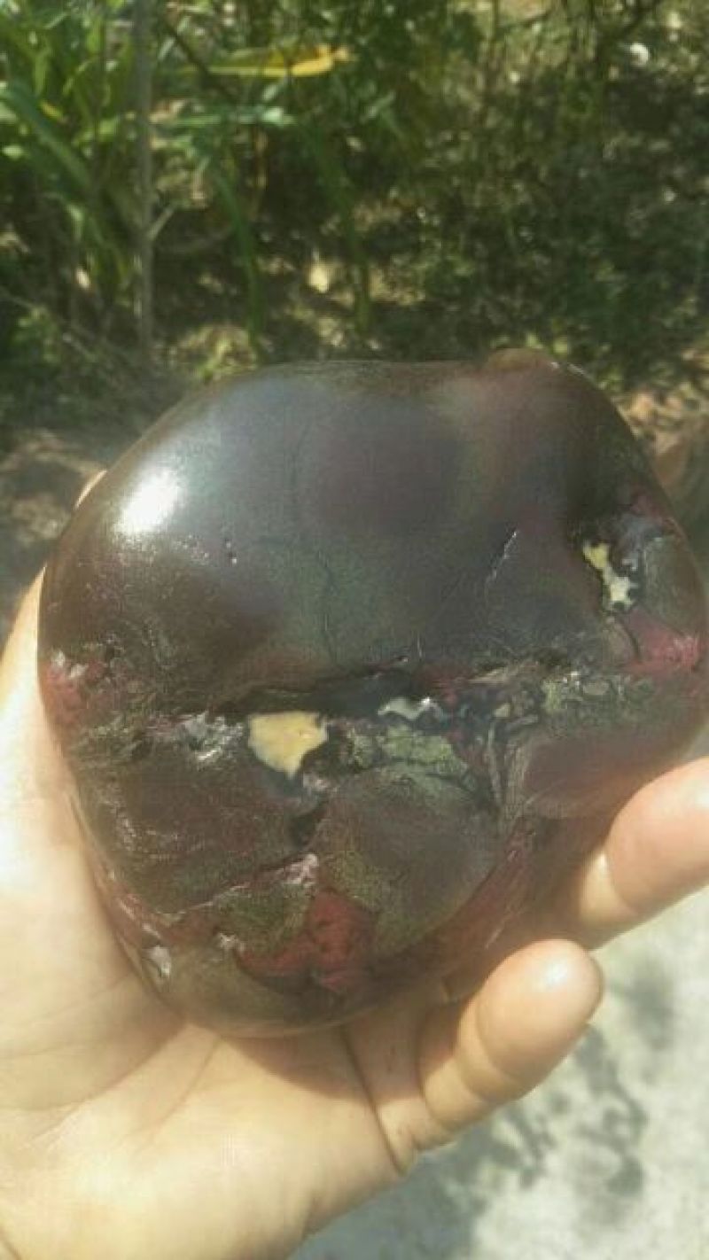 毛石