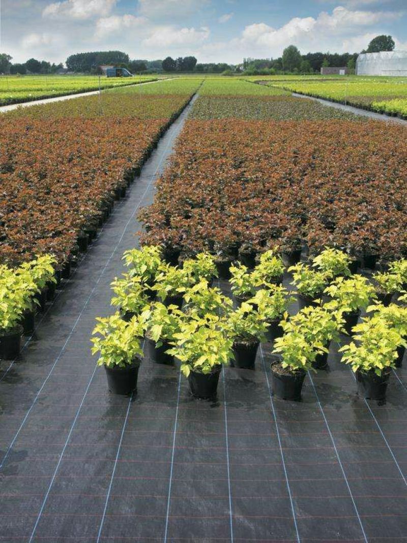 防草布除草布果园果树遮草抗老化0.4米一3米宽100米长
