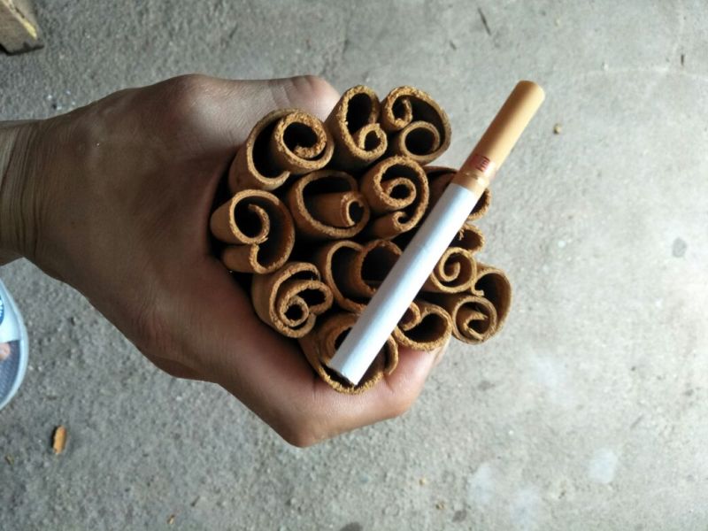 烟仔桂精品烟仔桂