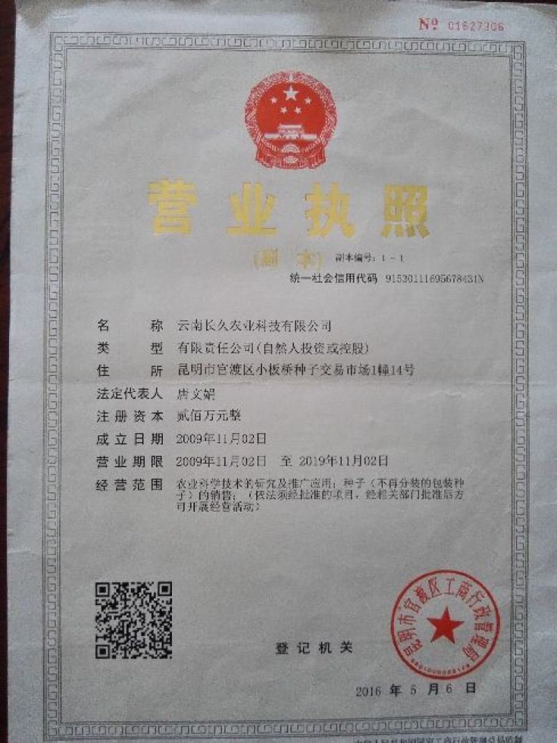 蜜本南瓜种子高纯度95%，高品质，高产量
