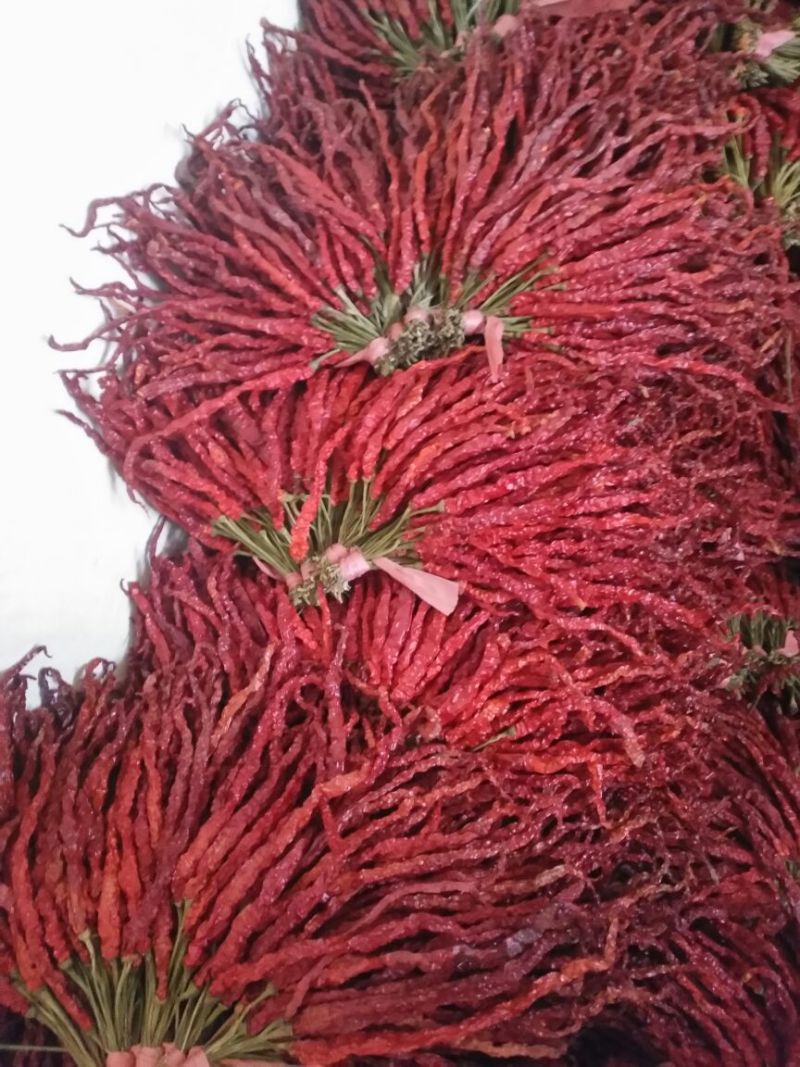干辣椒精品8.5成干