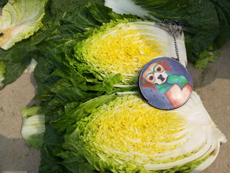 大白菜，玲珑黄心大白菜3—4斤货源充足量大价优欢迎采购