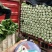 大白菜，玲珑黄心大白菜3—4斤货源充足量大价优欢迎采购
