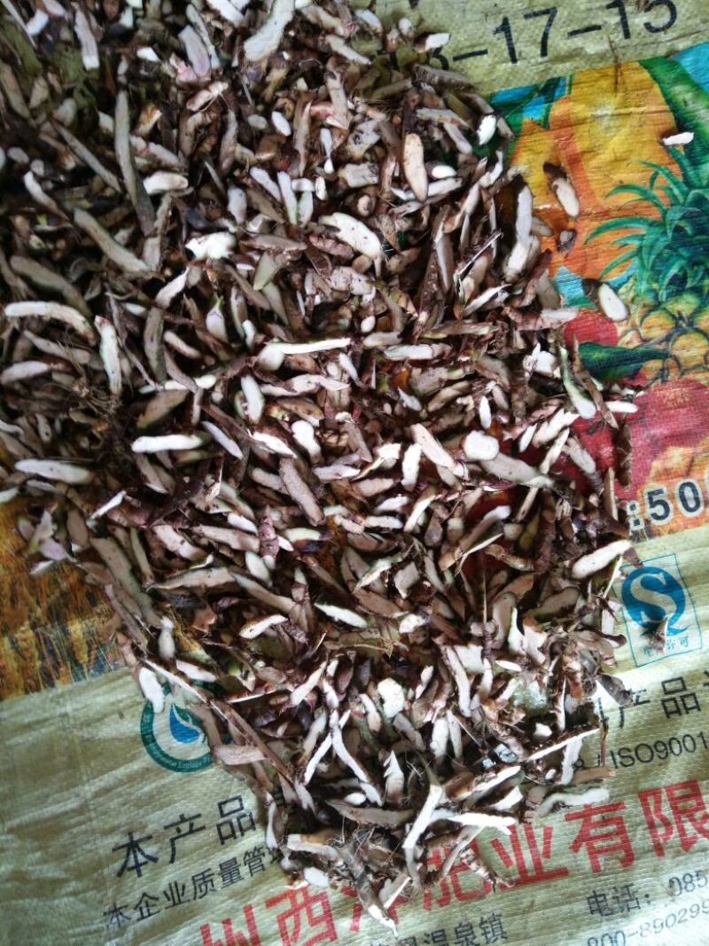 石菖蒲5斤包邮哦