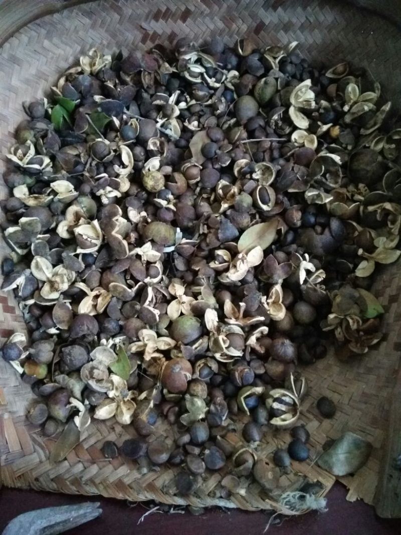 野山茶籽油