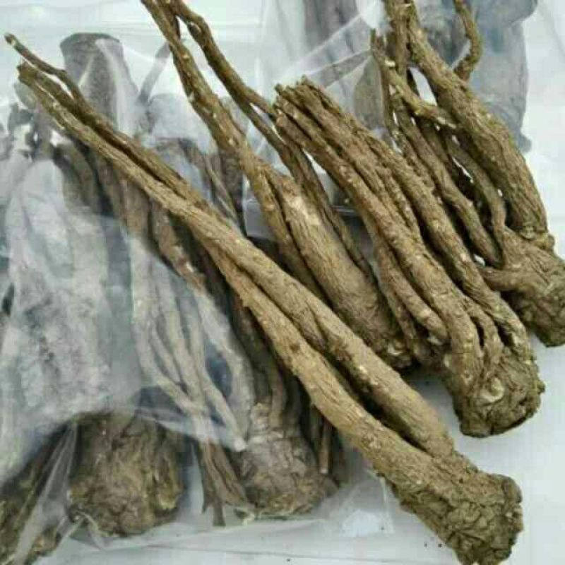 24小时在线服务直供一手货源保证正品当归