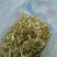 玉竹干