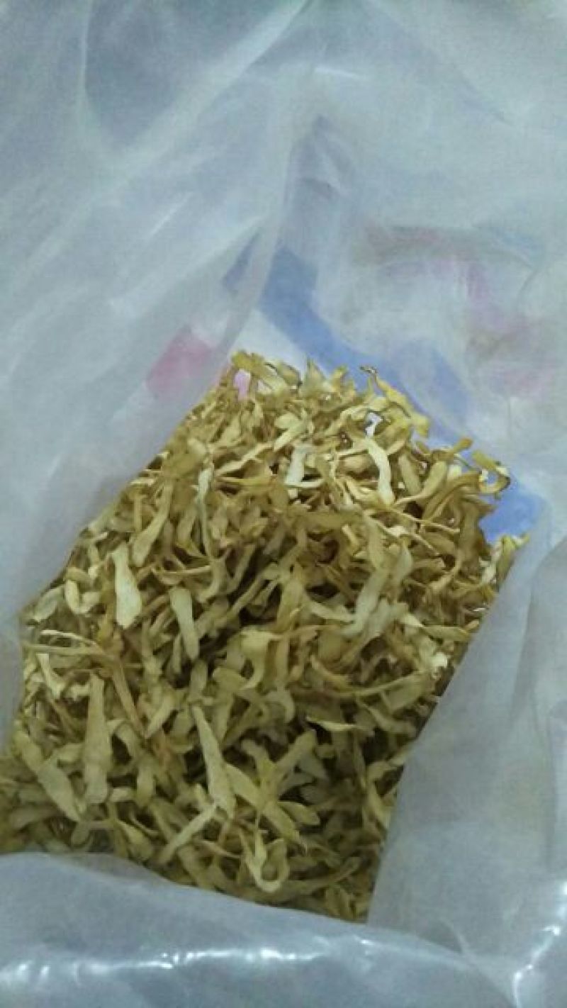 玉竹干