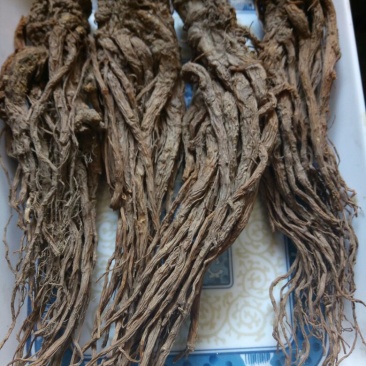 岷当归全当归小无硫，无水洗干货