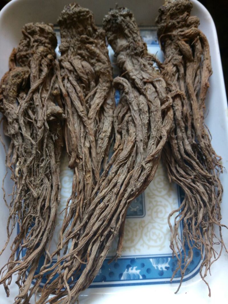 岷当归全当归小无硫，无水洗干货